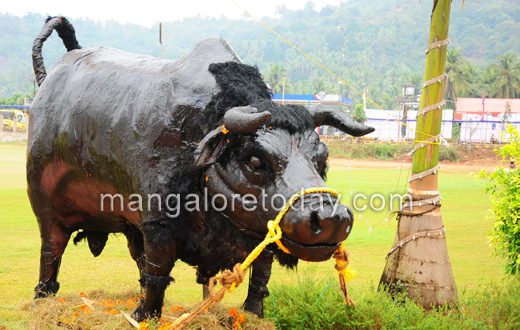 Vishwa tulu parba 2014 mangalore